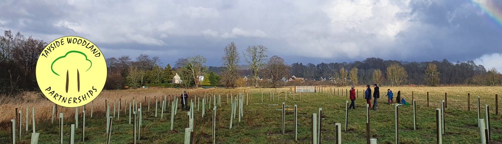 Tayside Woodland Partnerships
