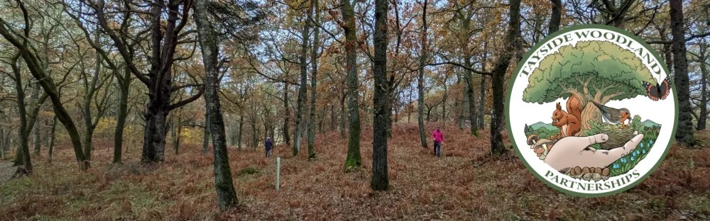 Tayside Woodland Partnerships